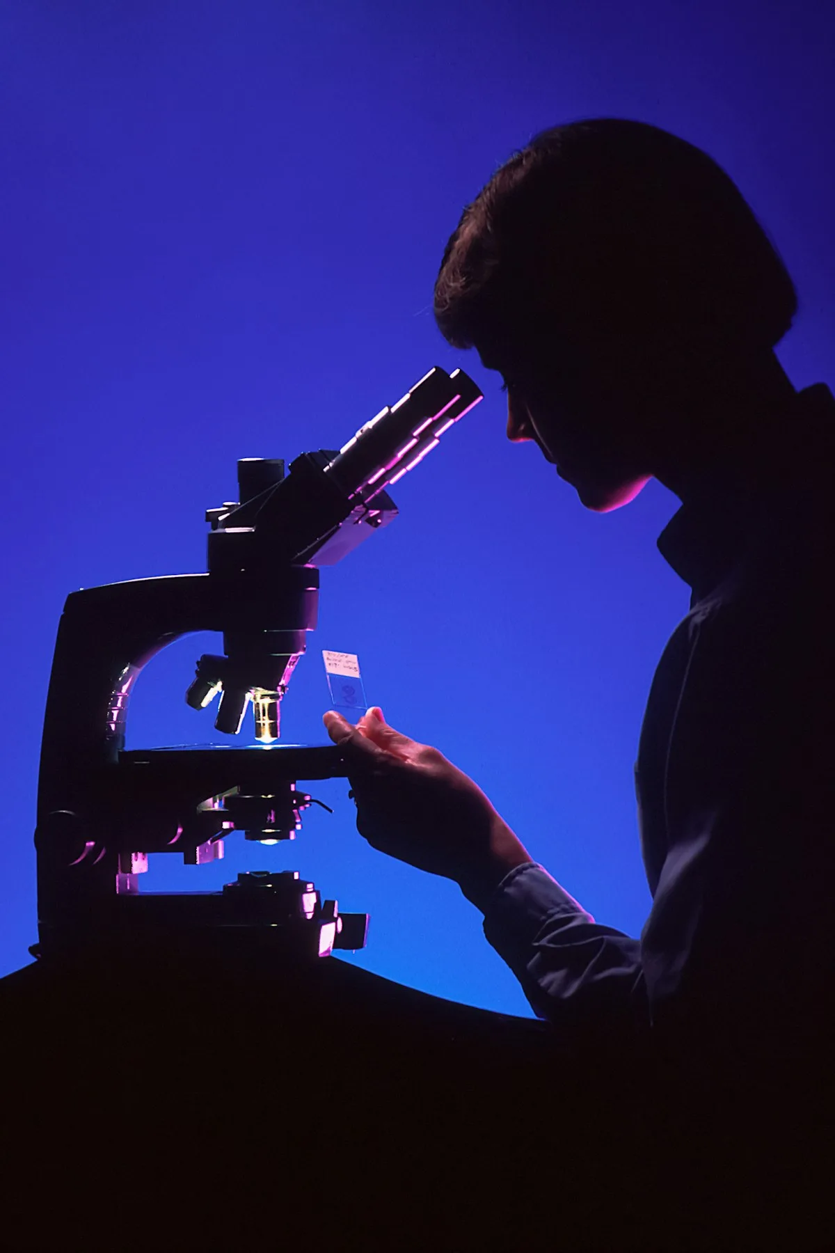 A laboratory specialist reviews a pathology sample under a microscope