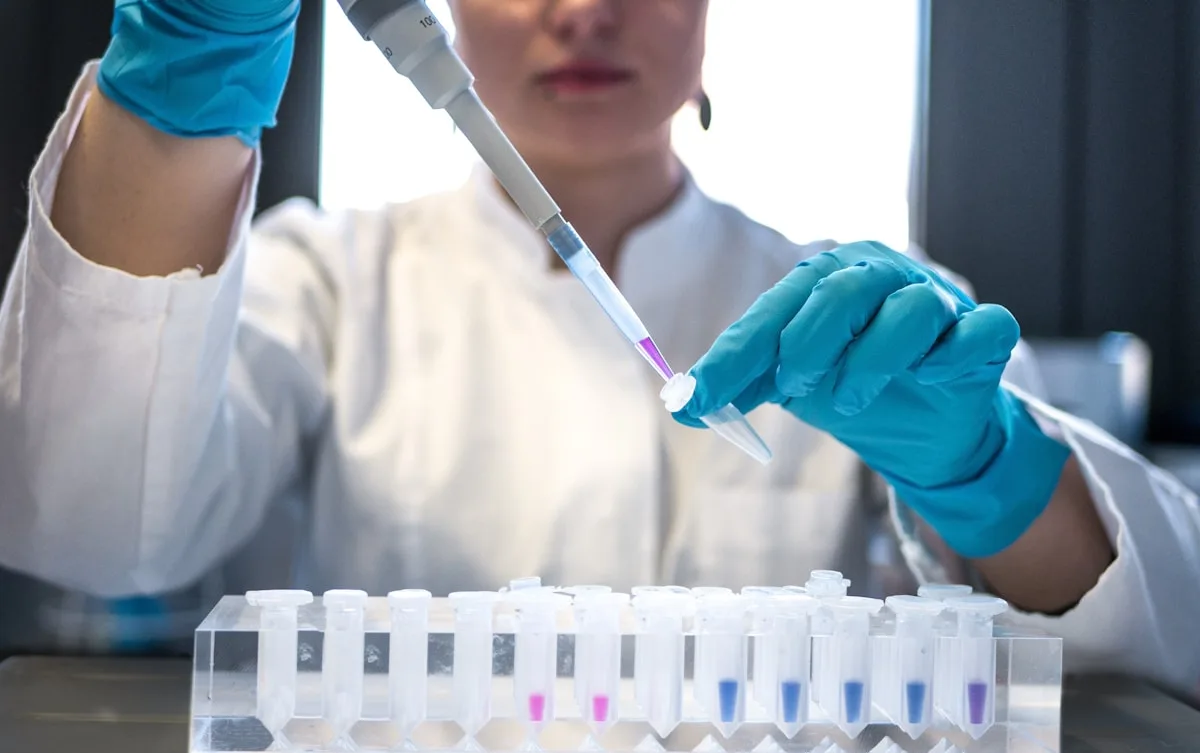 A laboratory scientist transfers a sample with a pipette